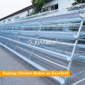 Qingdao A Type Galvanized Automatic Poultry Layer Cage À vendre